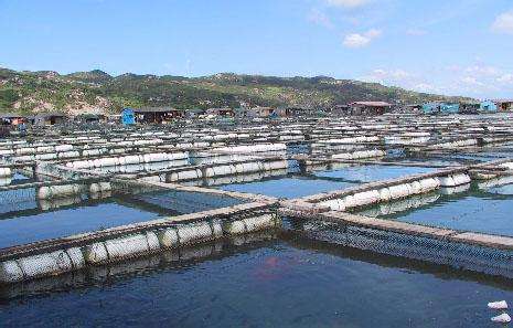 德瑞亞空壓機在連云港生物工程行業的應用 德瑞亞空壓機在連云港生物工程行業的應用