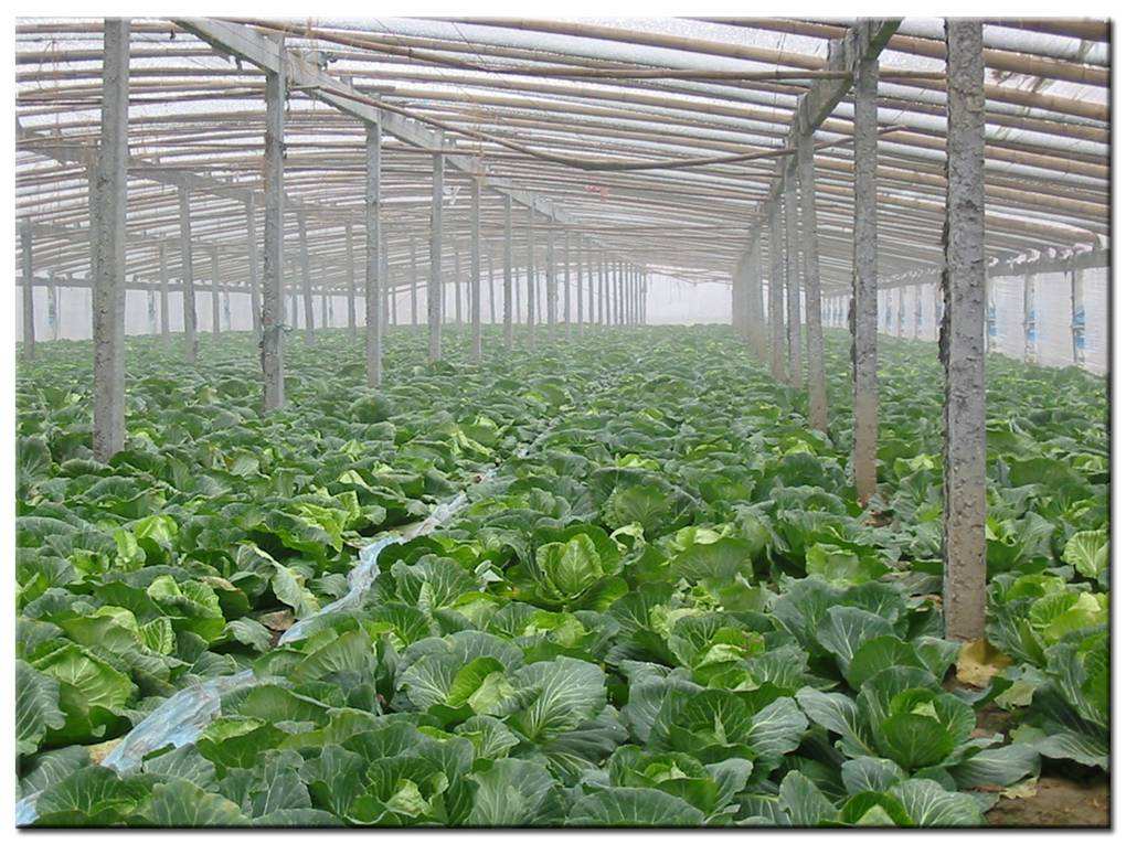 德瑞亞空壓機助力食品加工，節(jié)能無止盡